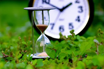 Illustration timewasting - Image 2