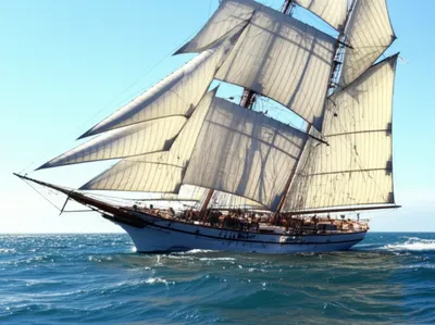 Illustration stretched - Image 1