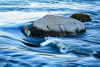 Illustration disruption