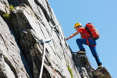 Illustration sure - Image 1