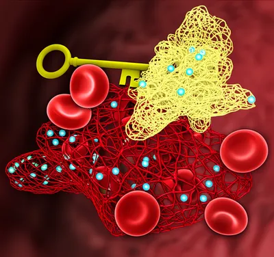 Illustration thrombin - Image 1