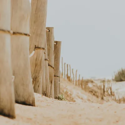 Illustration posts - Image 2