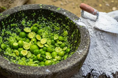 Illustration sours - Image 1