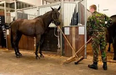 Illustration muck - Image 4