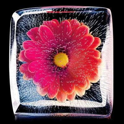 Illustration seized - Image 1