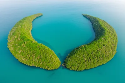 Illustration horns - Image 1