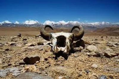 Illustration uninhabitable - Image 2