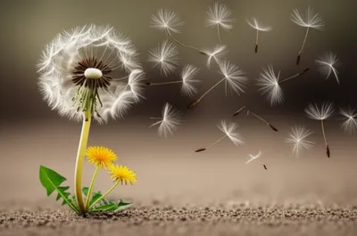 Illustration proliferating