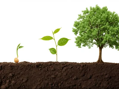 Illustration tenses - Image 1