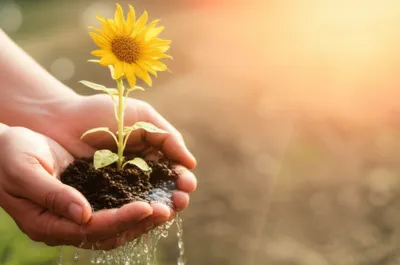 Illustration notices - Image 1