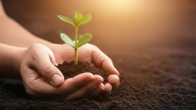 Illustration affections