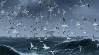 Illustration prions - Image 1