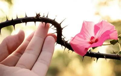 Illustration unprovoked