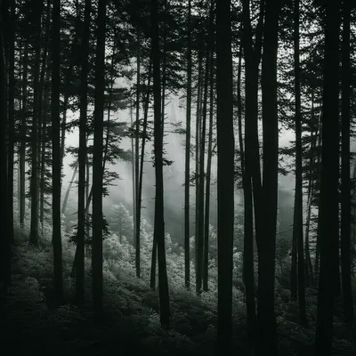 Illustration darkest - Image 2