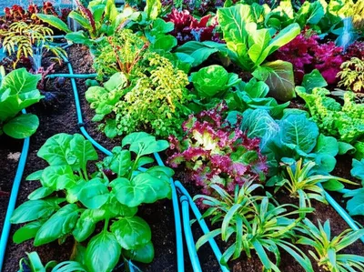 Illustration utilizing - Image 1