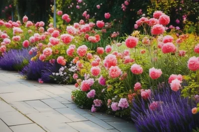 Illustration overrun - Image 1