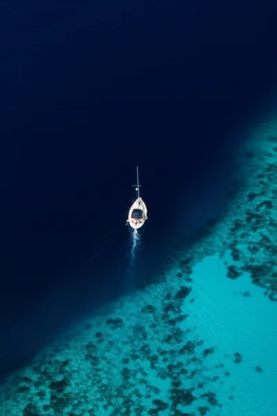 Illustration shoals - Image 1