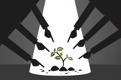 Illustration castigate - Image 1