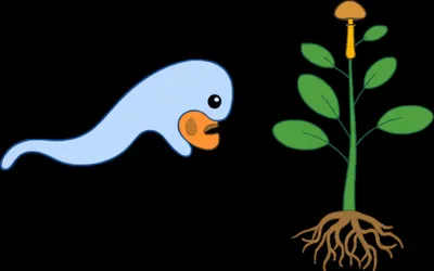 Visuelle Darstellung für das Wort „animal" - Tier