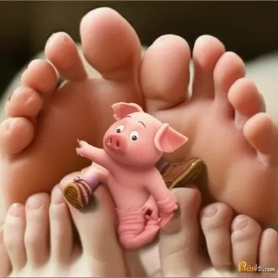 Illustration piggy - Image 1