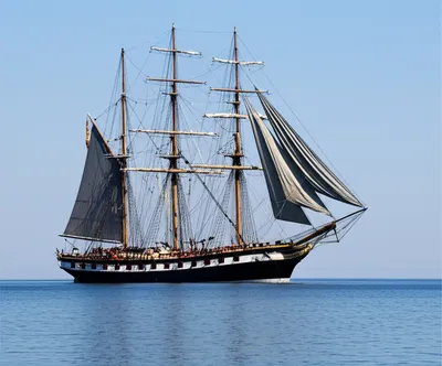 Illustration hogging - Image 1