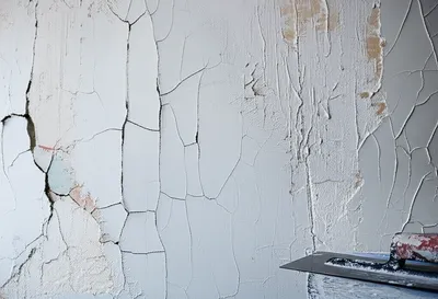 Illustration plastered - Image 1