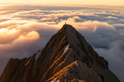 Illustration highest - Image 1