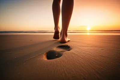 Illustration ms - Image 1