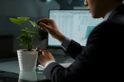 Illustration wiring - Image 1