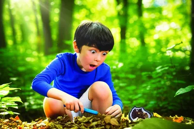 Illustration newfound