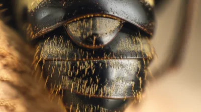 Illustration declivity - Image 1