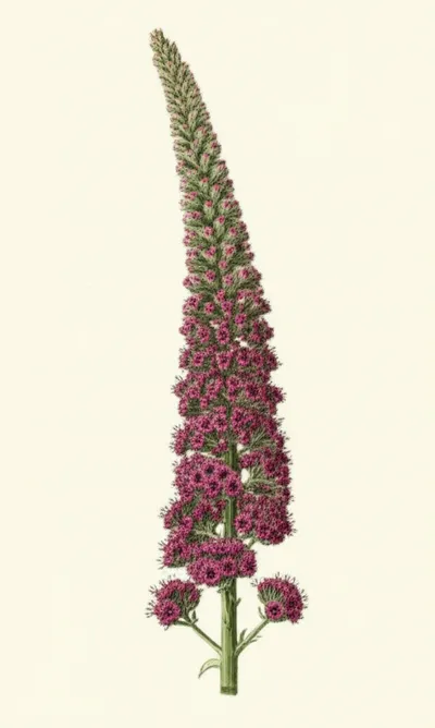 Illustration spikes - Image 1