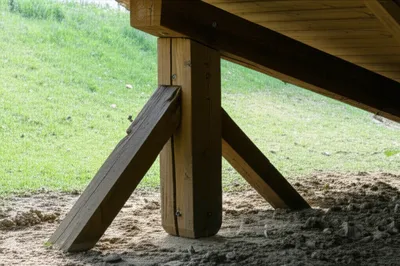 Hình ảnh minh họa sp - Ảnh 1