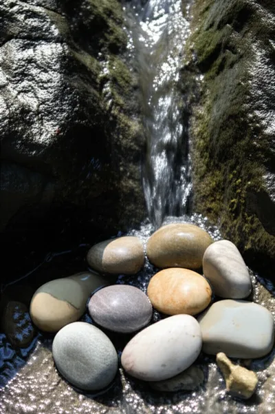 Illustration softens - Image 1