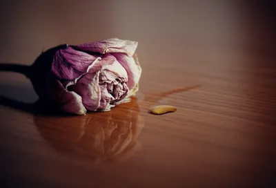 Illustration unhappily