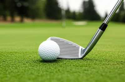 Illustration chipper - Image 1