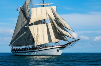 Illustration larger - Image 1