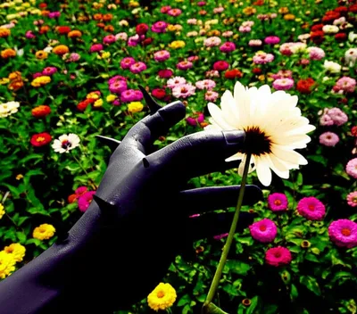 Illustration perverts - Image 1