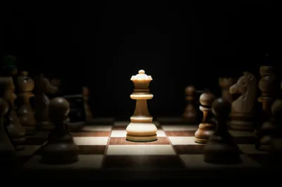 Illustration featured