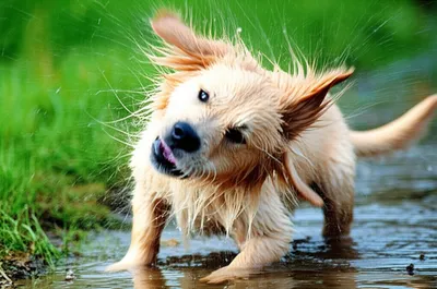 Illustration wettest - Image 1