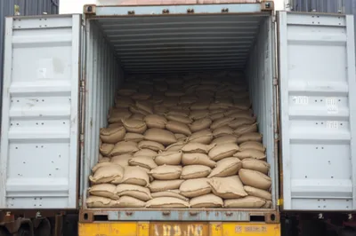 Illustration bulks - Image 1