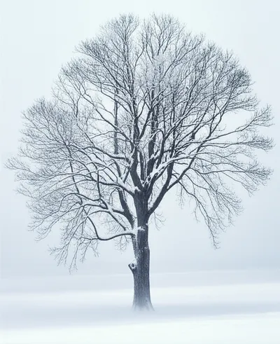 Illustration brunt - Image 1