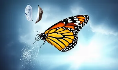 Illustration breaking - Image 1