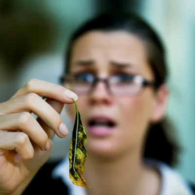 Illustration deal - Image 1