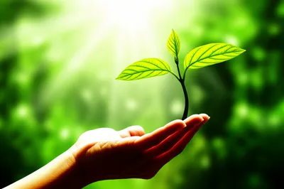 Illustration enforcing - Image 1