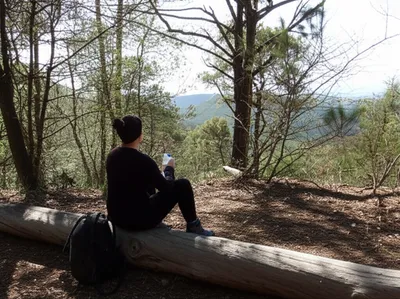 Illustration pauses - Image 1