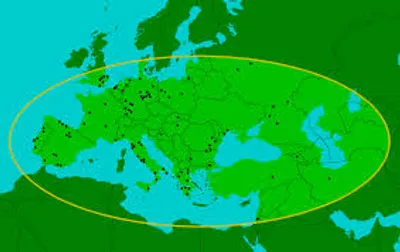 Illustration large - Image 3