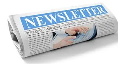 Illustration newsletter - Image 2