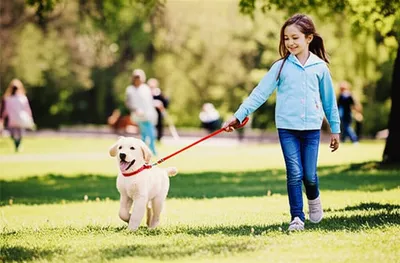 Illustration leads - Image 1