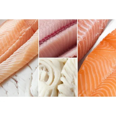 Illustration fish - Image 1